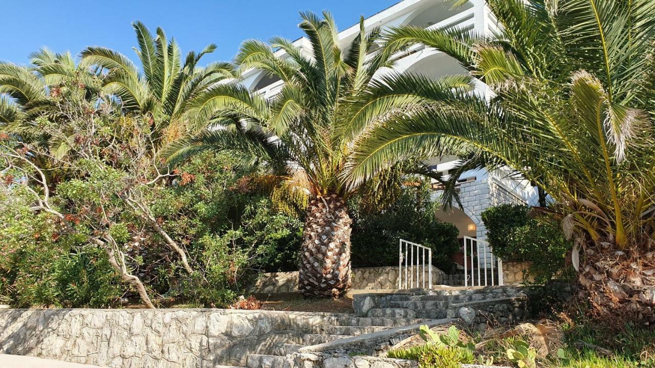 Apartments Anica Beber Borovići Eksteriør billede